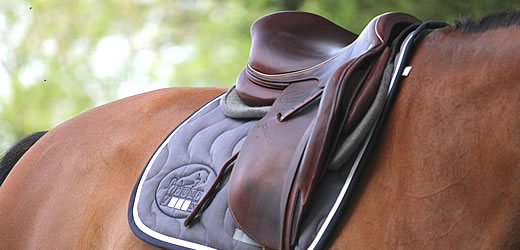 Jumpin saddles